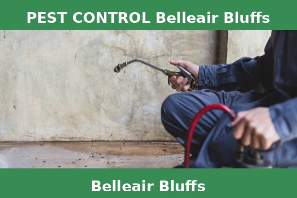 PEST CONTROL Belleair Bluffs